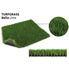 Turfgras Bella  Rasen / Gras